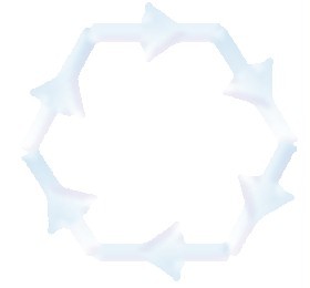 Form Image